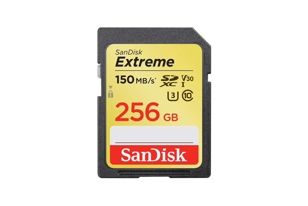 SDSDXV5-256G-GNCIN