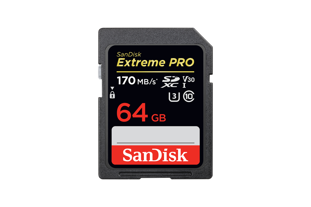 SDSDXXY-064G-GN4IN