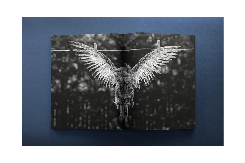 „The World Is Where You Stop”