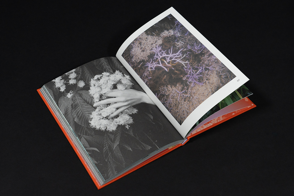 velvet flowers_book2 Velvet flowers & melting views