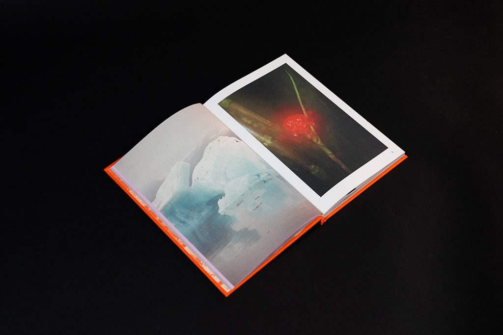 velvet flowers_book5