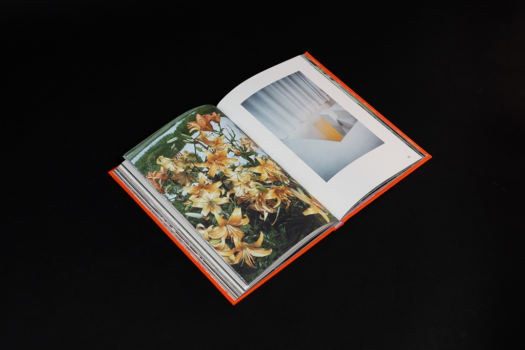 velvet flowers_book6 Velvet flowers & melting views